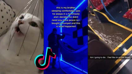 Funny TikToks that made Billie Eilish a Good Guy