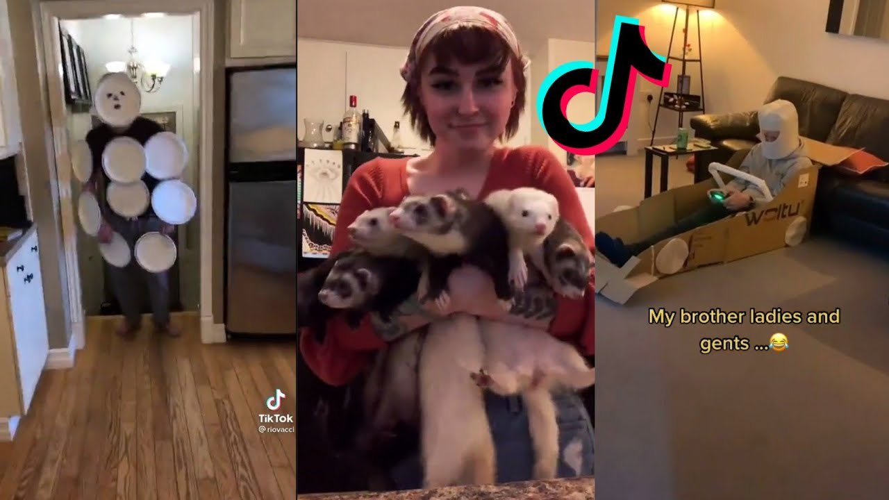 Funny TikToks I am too lazy to find a title for