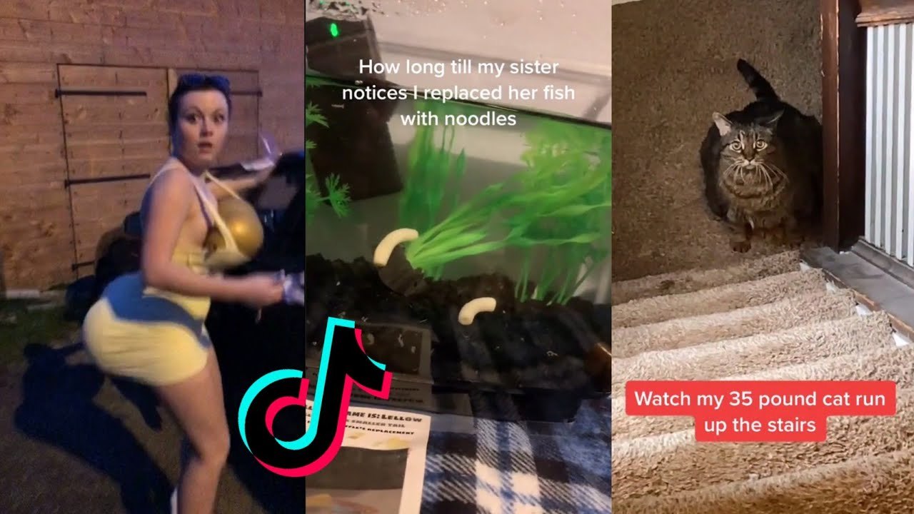 Funny TikToks that make my day better (2)