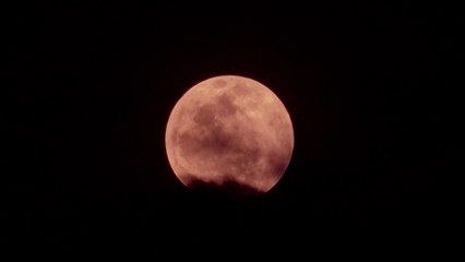 Eclipse lunar fue un atractivo para los turistas del Puerto Salvador Allende