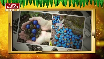 शिव के रुद्राक्ष के साथ ये गलती बना देती है जीवन को शव के समान