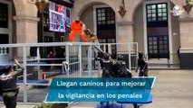 Dona Embajada de Estados Unidos binomios caninos a penales del EDOMEX