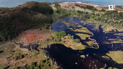 Aprendiendo sobre la vida silvestre al fin del mundo _ Factor de Cambio