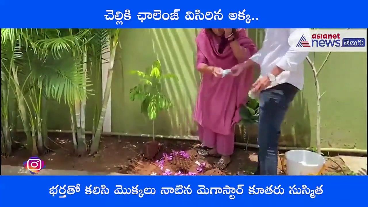 మొక్కలు నాటిన మెగాస్టార్ కూతురు సుస్మిత, అల్లుడు..