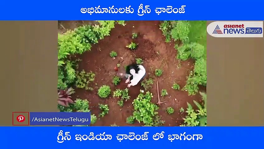 గ్రీన్ ఇండియా ఛాలెంజ్లో భాగంగా మొక్కలు నాటిన హీరోయిన్ కీర్తి శెట్టి