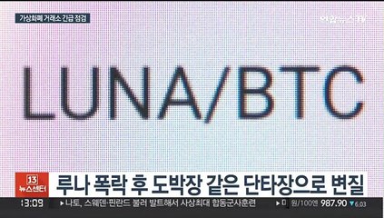 루나 폭락에도 거래소는 떼돈…당국은 피해 점검 나서