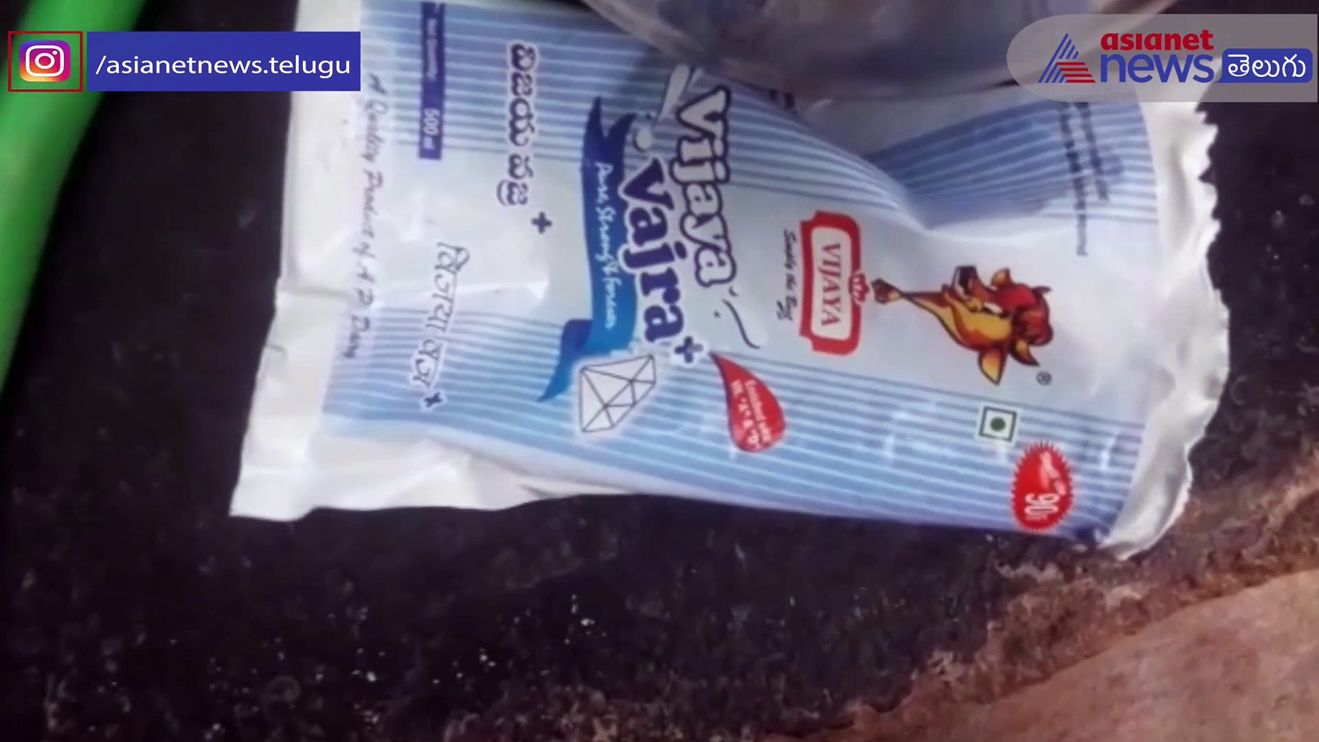 నిర్లక్ష్యానికి పరాకాష్ట... అంగన్వాడీ పాల పాకెట్ లో కప్ప, బాలింత భయాందోళన