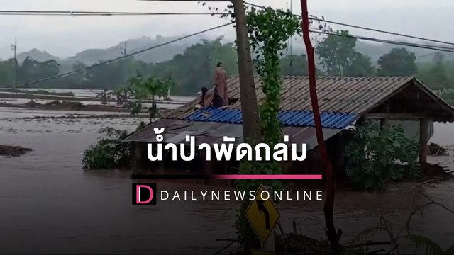 นาทีชีวิต! เปิดภาพ ‘หมา-คน’ปีนหลังคาหนีตายระทึก หลังนํ้าป่าพัดถล่ม | HOTSHOTเดลินิวส์ 17/05/65