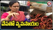 Special Story On Organic Farming In Hyderabad _ V6 News