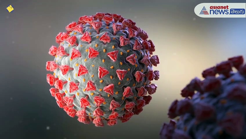 కరోనా కాలంలో రోగ నిరోధక శక్తిని పెంచే సూపర్ ఫుడ్ అశ్వగంధ