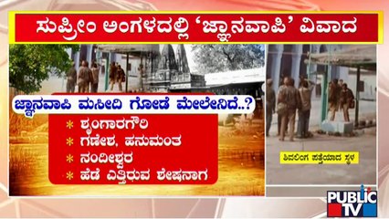 What's There On Gyanvapi Masjid Walls..? | Public TV