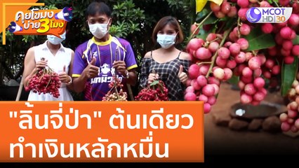 "ลิ้นจี่ป่า" ต้นเดียวทำเงินหลักหมื่น | คุยโขมงบ่าย 3 โมง