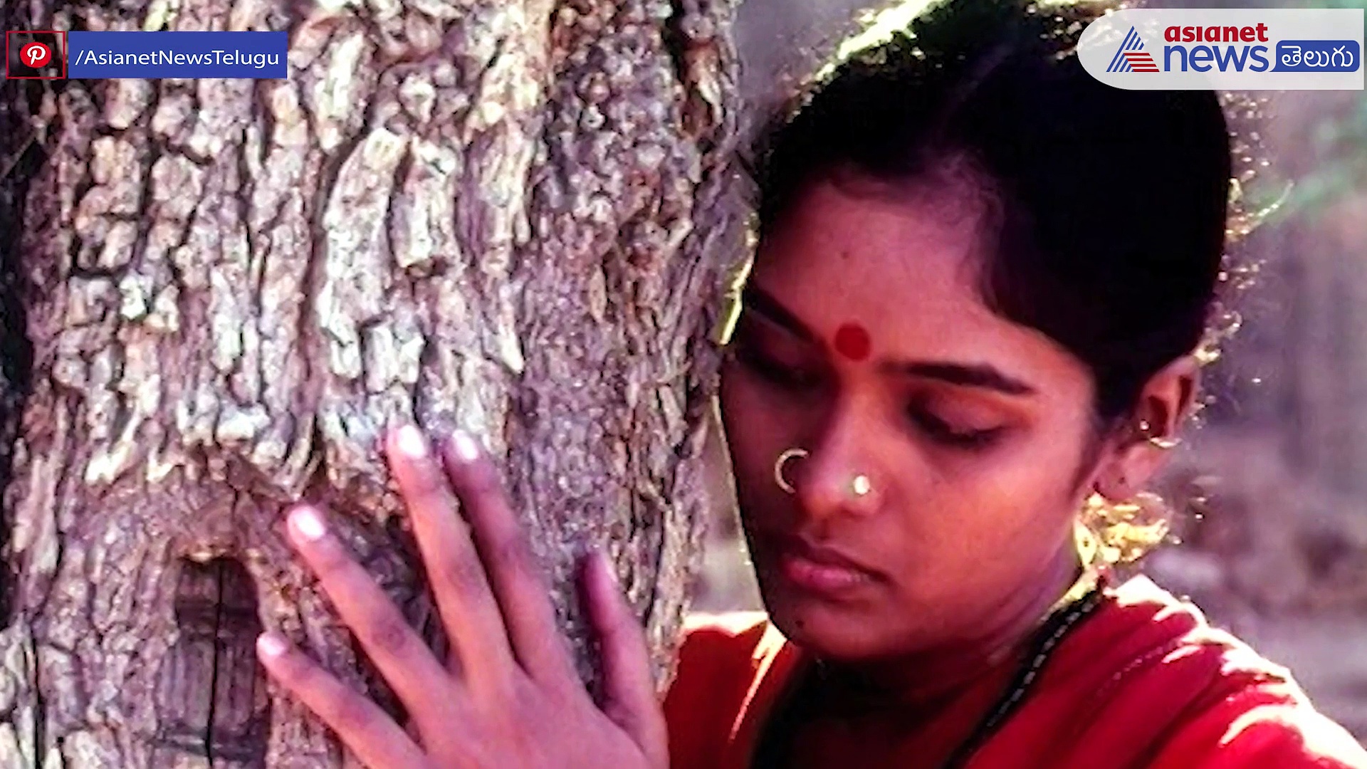 తెలుగు సినిమా స్థాయిని పెంచిన రంగుల కళ, నర్సింగ రావు సినిమా చేసిన అద్భుతం