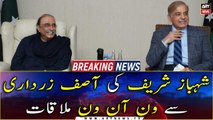 PM Shehbaz Sharif meets former president Asif Ali Zardari