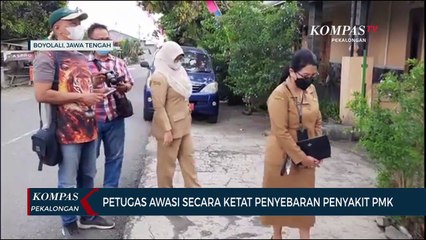 Petugas Awasi Secara Ketat Penyebaran Penyakit PMK