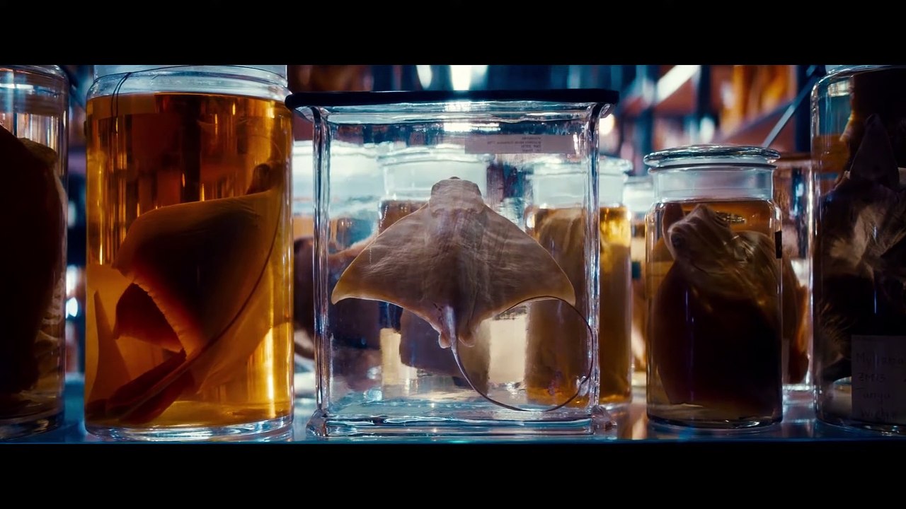 EVERYTHING WILL CHANGE Film - Clip und Trailer