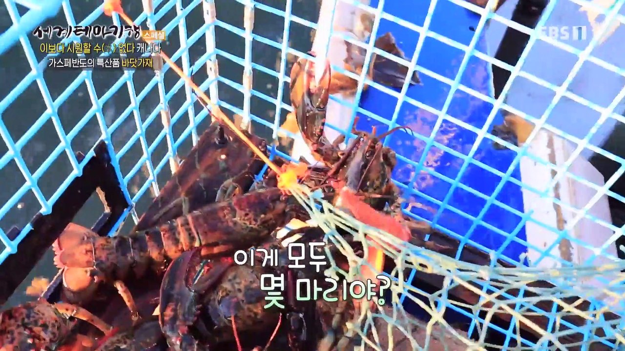 세계테마기행 - 이보다 시원할 수 없다- 신들의 수중 정원, 캐나다_#003