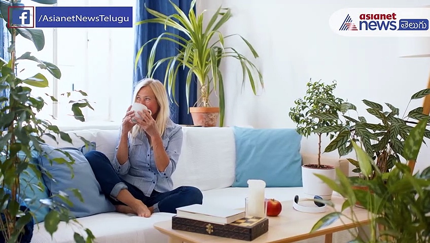 జీవనశైలి: ఈ టీలు తాగితే డయాబెటిస్ ని కంట్రోల్ లో ఉంచుకోవచ్చు తెలుసా..?