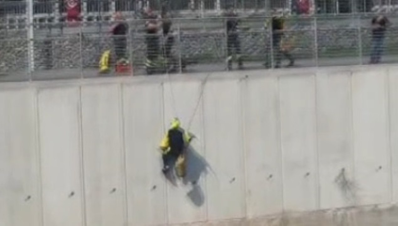 Torino - Salvato un cane finito nel fiume Dora (17.05.22)