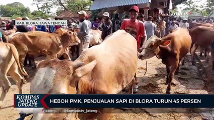 Heboh PMK, Penjualan Sapi di Blora Turun 45 Persen