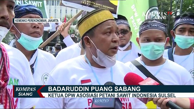 Gelar Unjuk Rasa Larangan Ekspor Minyak Sawit, Apkasindo: Ini Tidak Adil bagi Pertani!