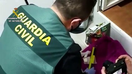 Operación antidroga de la Guardia Civil con 12 detenidos en Albacete, Madrid y Cádiz