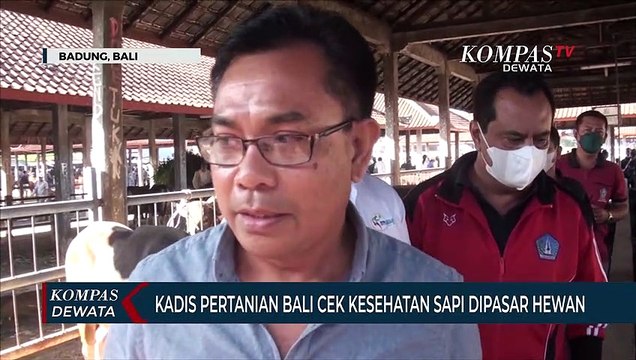 Aktifitas Jual Beli Sapi Di Pasar Hewan Menurun