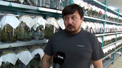 Talebine yetişemiyorlar: Milyonlarca üretilip dünyaya satılıyor