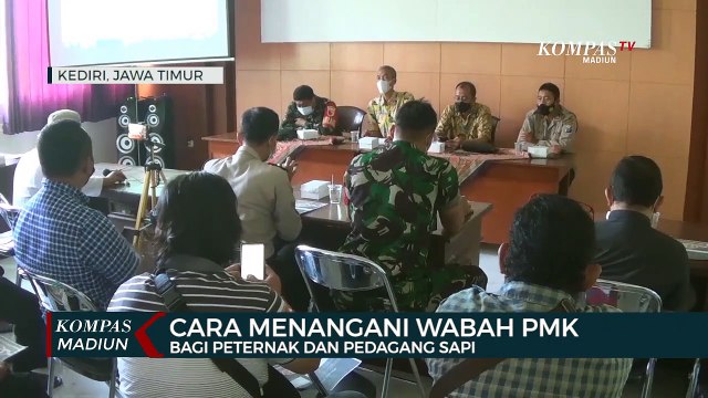 Cara Menangani Wabah PMK Bagi Peternak Dan Pedagang Sapi