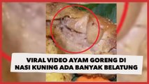 Viral Video Ayam Goreng di Nasi Kuning Ada Banyak Belatung, Warganet: Ngeri