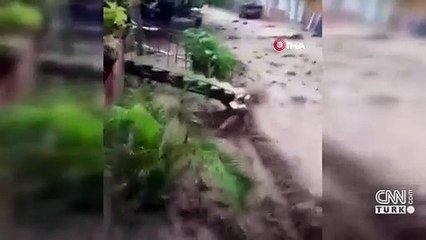 Hindistan'da sel: 8 ölü