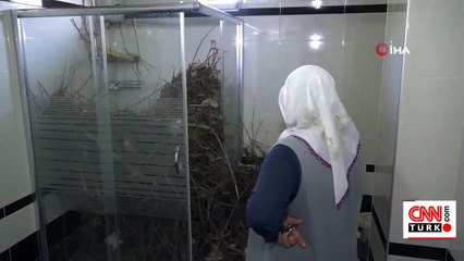 Kargalar evi bakın ne hale getirdi