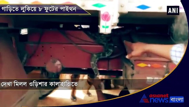 Python rescued from truck in Odishas Kalahandi