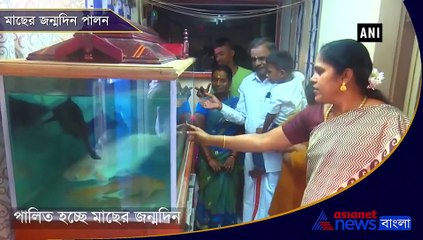 Rameswaram family celebrates birthday of pet fish