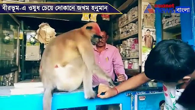মারামারিতে জখম, দোকানে গিয়ে ওষুধ চাইল হনুমান, দেখুন ভিডিও