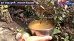 Tulsi tree drinks water in North Bengal, Video goes viral