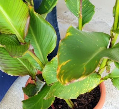 Fête du pain à l'AFPAR de St-André : De toutes les formes et aux nombreuses saveurs