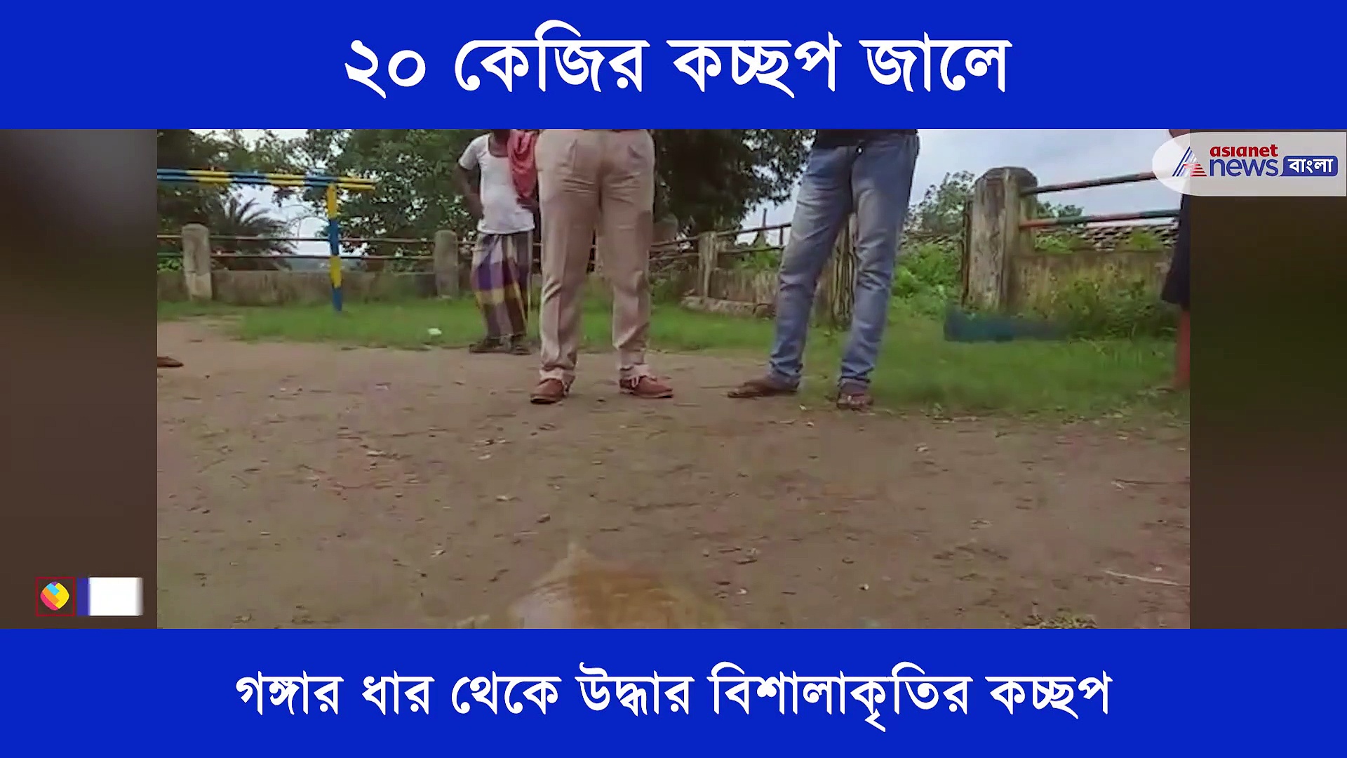 ২০ কেজির কচ্ছপ জালে, দেখতে এসে ভিড়ে ছয়লাপ
