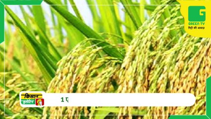 Kisan Bulletin - भारत में समय से पहले दस्तक देगा Monsson || धान की खास किस्म नर नारी से होगा डबल मुनाफा || Agri News