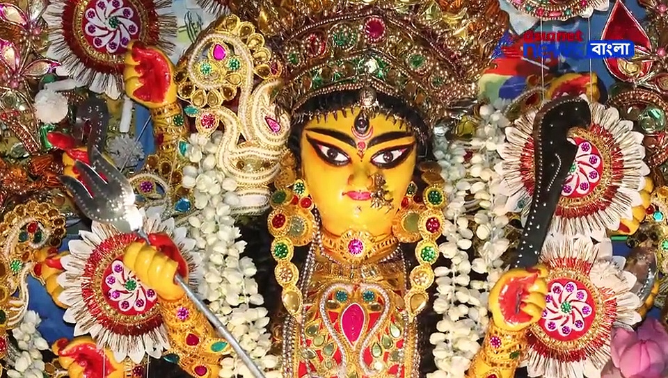 নবরাত্রির নয় দিনের নয় রঙ, নয়টি পৃথক অবতারে পূজিত হন মা দুর্গা, দেখুন ভিডিও
