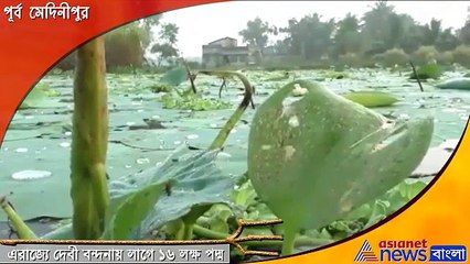Ausgram's Dokra durga is main attraction in Beliaghata 33 Pally