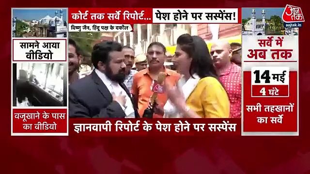 Gyanvapi Survey: Why lawyer for Hindu side has so much faith