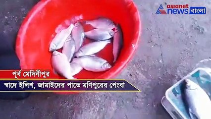 Pengba fish in Haldia
