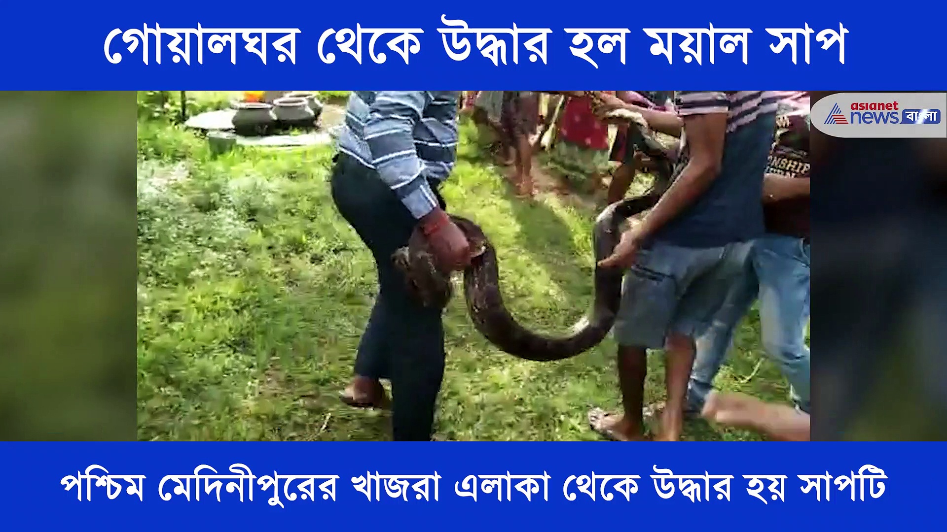 গোয়ালঘর থেকে উদ্ধার হল ময়াল সাপ, আতঙ্ক ছড়িয়েছে পশ্চিম মেদিনীপুরের খাজরা এলাকায়