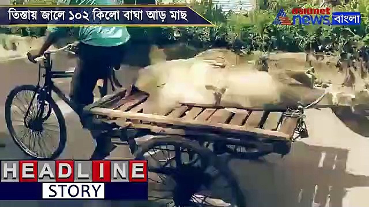 Fish weighing 102 kg sold in Jalpaiguri