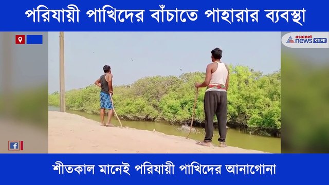 Protection for migratory birds