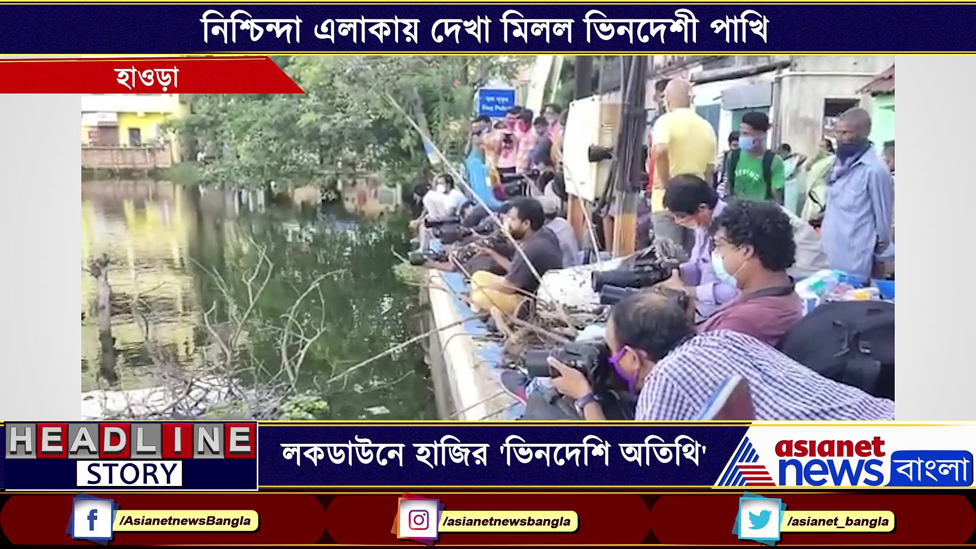 লকডাউনের মাঝে হাজির 'ভিনদেশি অতিথি'