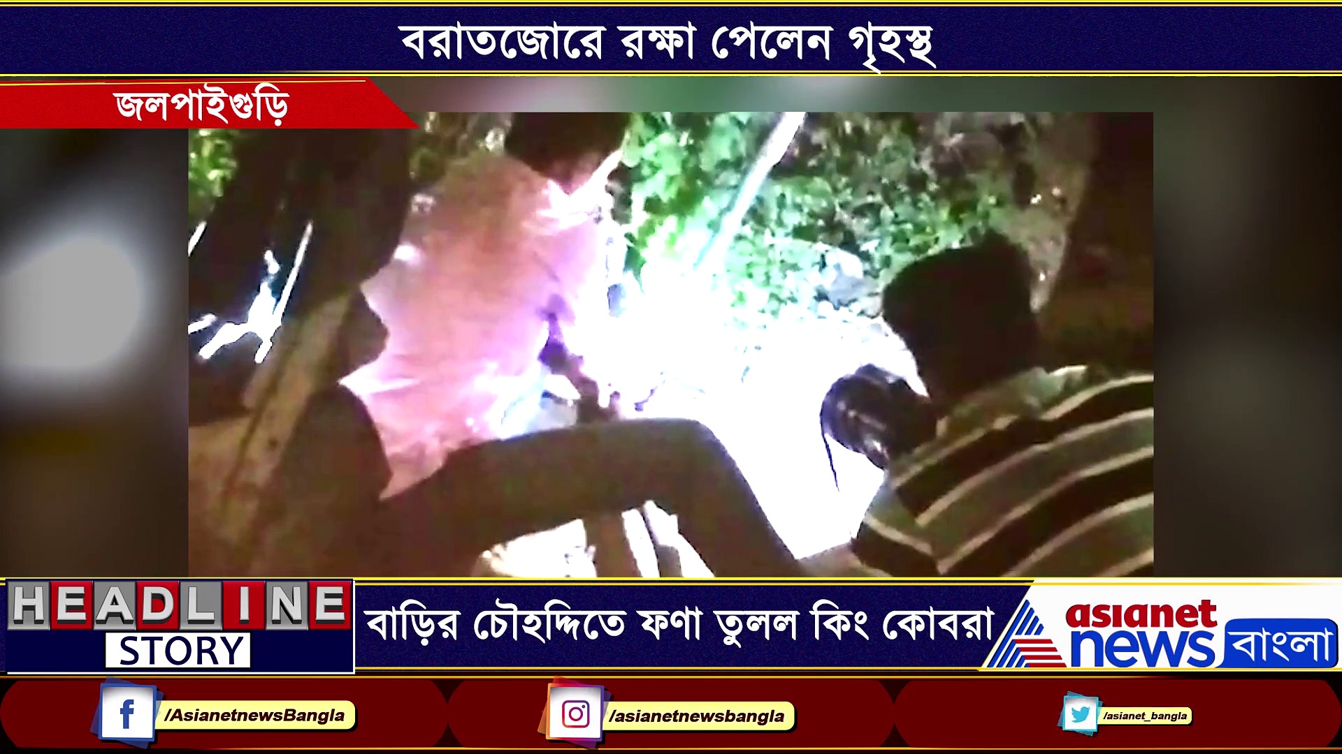 বাড়িতে ঢুকে পড়ল কিং কোবরা, বরাতজোরে রক্ষা পেলেন গৃহস্থ