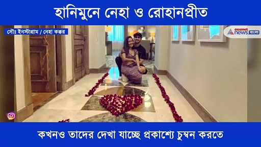 হানিমুনে গিয়ে রোমান্সে মজেছেন নেহা কক্কর ও রোহানপ্রীত সিং, দেখে নিন ভিডিও