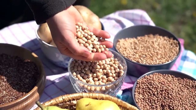 Wiener Gusto : Stadt Wien startet neue Marke für stadteigene Bio-Produkte